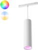 Philips Hue Perifo White and color uitbreiding hanglamp wit 929003116001 online kopen