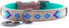 DWAM Halsband Indi Moon Goud&Turquoise Hondenhalsband 29 35x2 cm online kopen