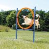Trixie Dog Activity Agility Ring Hondensport 65x115 cm Blauw Oranje online kopen
